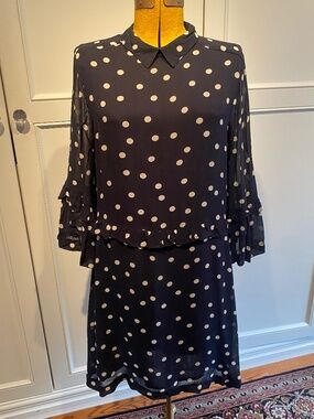 Polka Dot B&W Ganni Dress